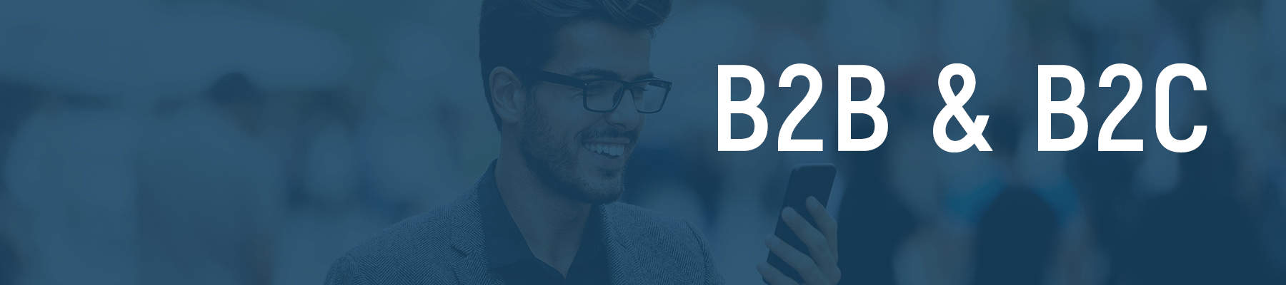 B2B / B2C Recharge Portals