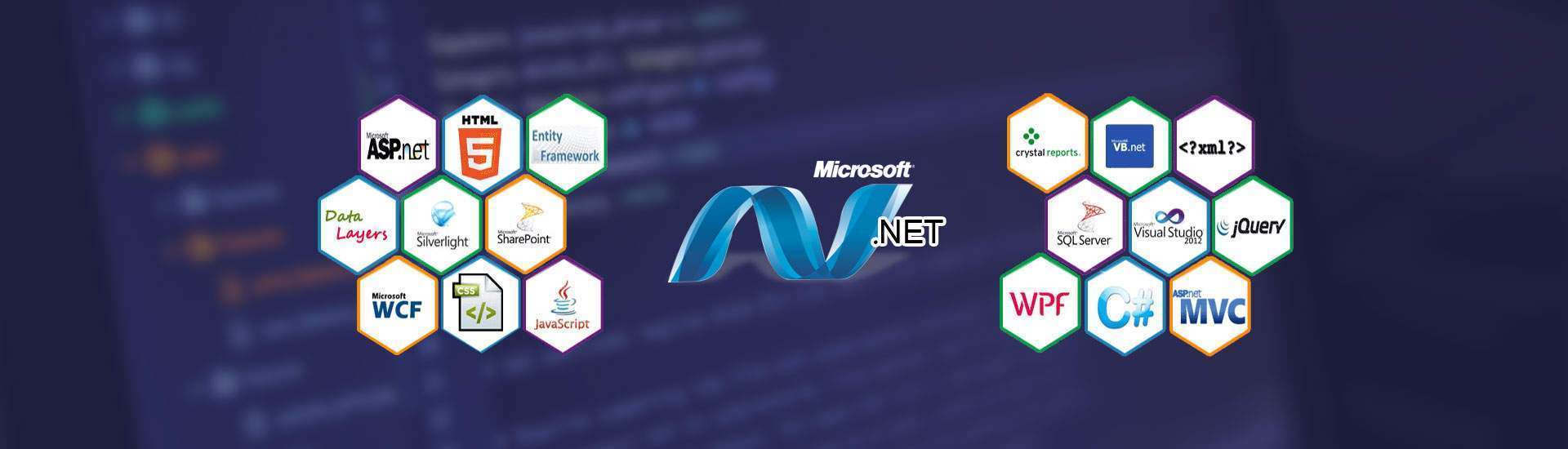 ASP .Net Web Development Company