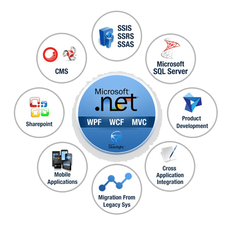 Microsoft .NET Development Company