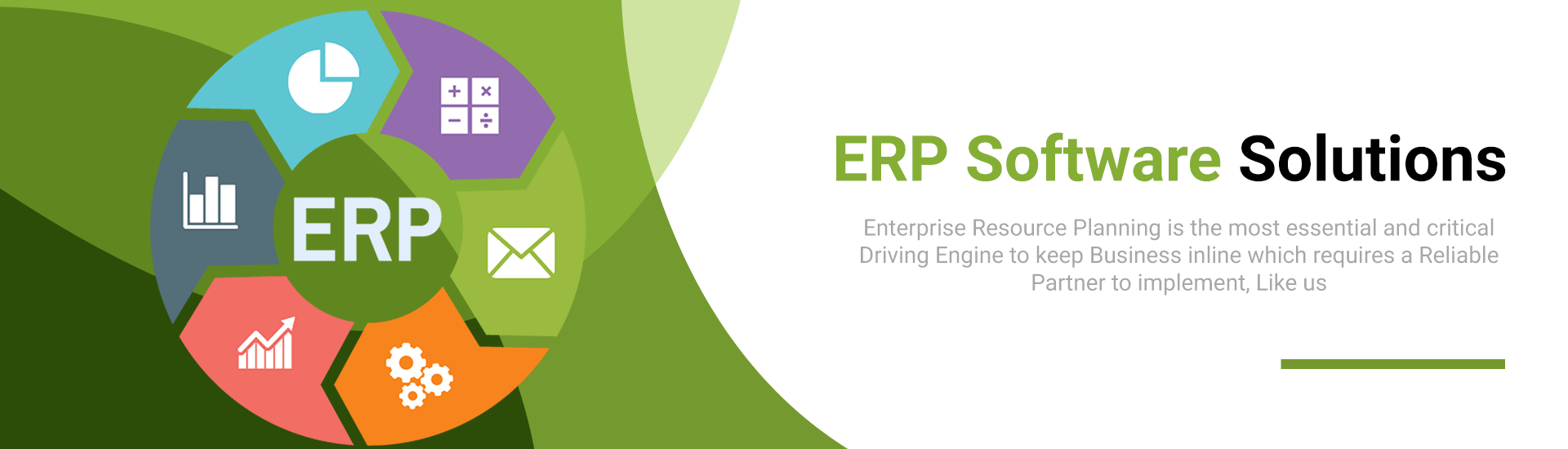 ERP Software Services