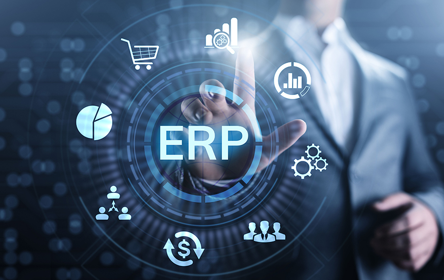 ERP Software Services