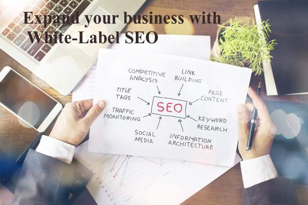 SEO-Reseller Services